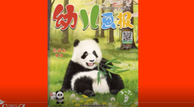 2026年4月熊猫的日记