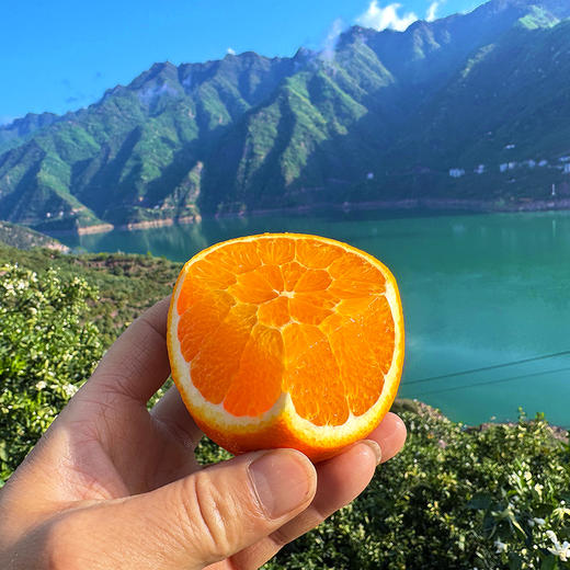 『秭归伦晚脐橙』橙香浓郁，鲜甜爆汁，现摘现发，又名帝王橙 商品图0