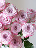 【2026.4.3】特价：1扎10枝基地玫瑰15.9（现货 下单即可到店自提） 商品缩略图4
