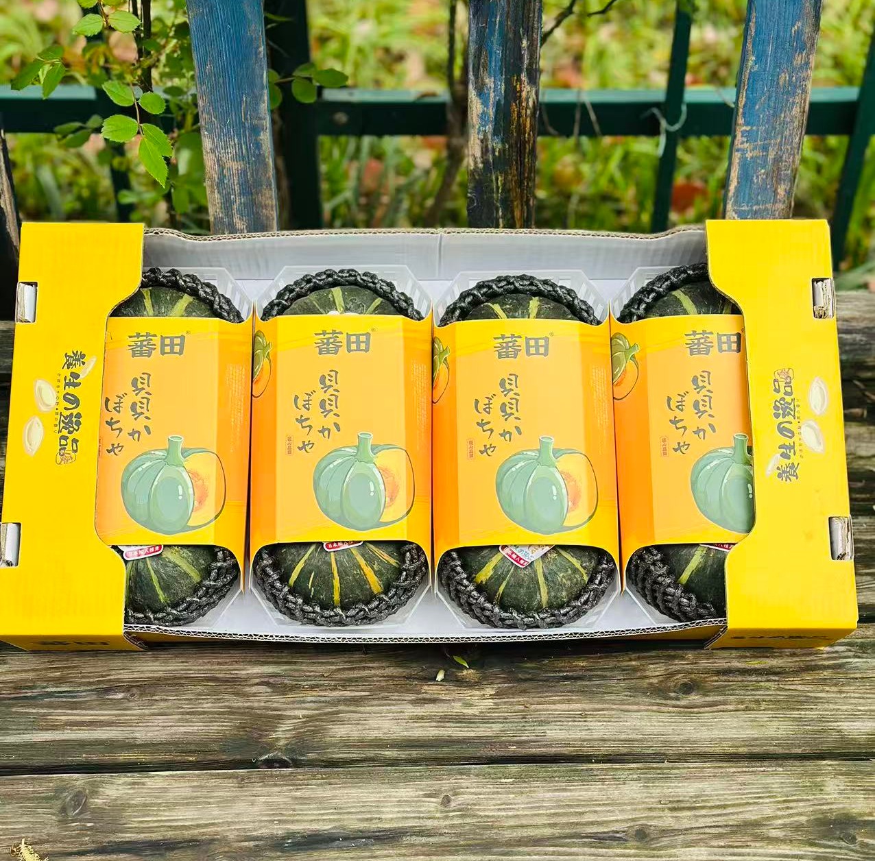 蕃田贝贝南瓜|直接蒸着吃，浓郁南瓜香，香浓板栗味，超粉超糯，吃了一口还想第二口，中饭就它了～