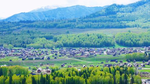 户外@2-6人【全景北疆】阿勒泰+喀纳斯+禾木+赛湖+那拉提+霍尔果斯+独库公路+孟克特11天 商品图8