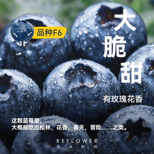 1加仑「花香蓝莓树」盆栽 | 2026芍药季 | 群友专享 商品图2