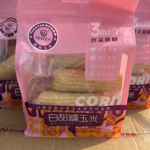 山西农科院～甜糯玉米【1袋6根】新鲜口感，糯而香甜，老玉米的香+黏玉米的糯，带淡淡的甜，好吃！ 商品图1