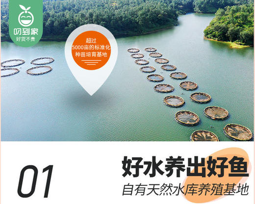 渔尚芭莎烤鱼-青花椒味（巴沙鱼600g+酱料包130g/份）另赠烤盘生产日期: 1月 商品图1