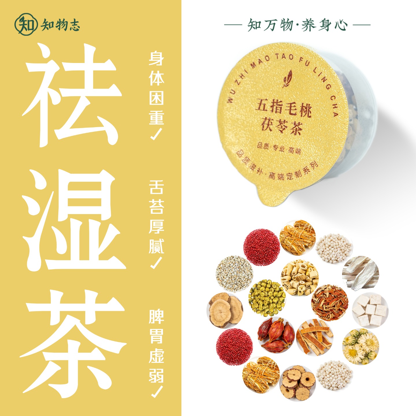 知物志·茯香顺和轻养茶 五指毛桃茯苓茶 祛湿健脾古方 草本祛湿健送家人送健康更安心