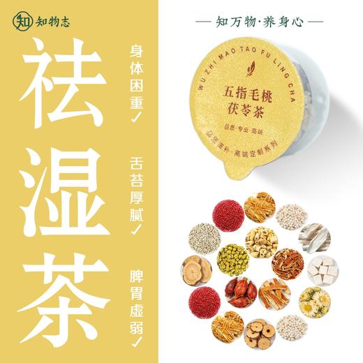 知物志·茯香顺和轻养茶 五指毛桃茯苓茶 祛湿健脾古方 草本祛湿健送家人送健康更安心 商品图0