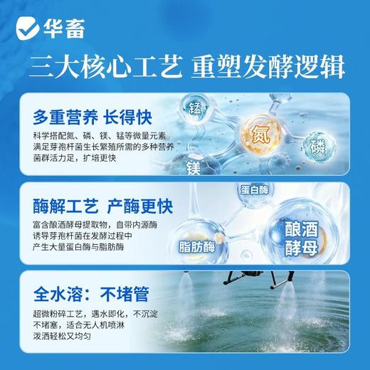 华畜芽孢杆菌发酵伴侣水产调水肥水不发臭调水肥水产养殖益生菌 商品图2