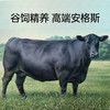 大黄鲜森 澳洲上脑牛排750g/包 商品缩略图4