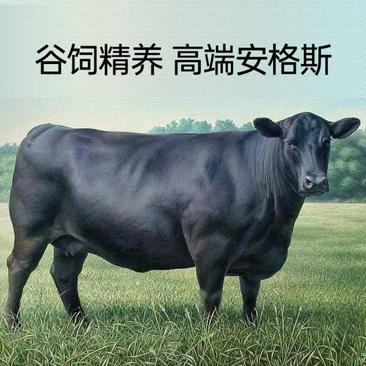 大黄鲜森 澳洲上脑牛排750g/包 商品图4