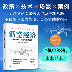低空经济 : 开辟天空下的商业新蓝海