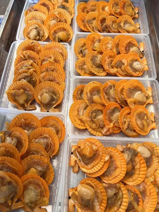 &【278套餐】春日清明踏青🌿码头现搭当季海鲜大餐[庆祝]免费送💥深海大黑虎虾🦐 限时回馈，先到先得‼ 商品图3