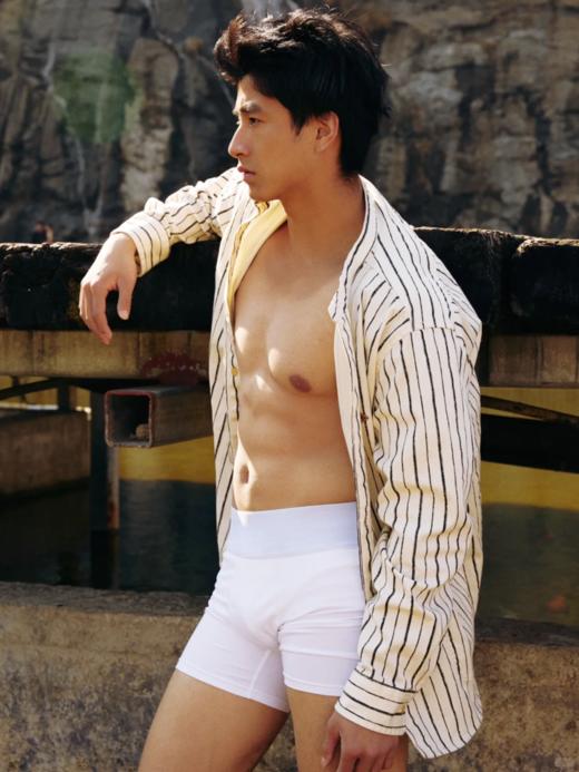 【95%天然彩棉 + 5% 氨纶】樱姿娜・蚝润彩棉男士内裤 商品图1