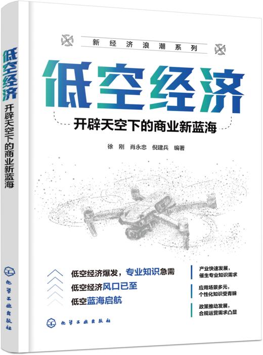 低空经济 : 开辟天空下的商业新蓝海 商品图1
