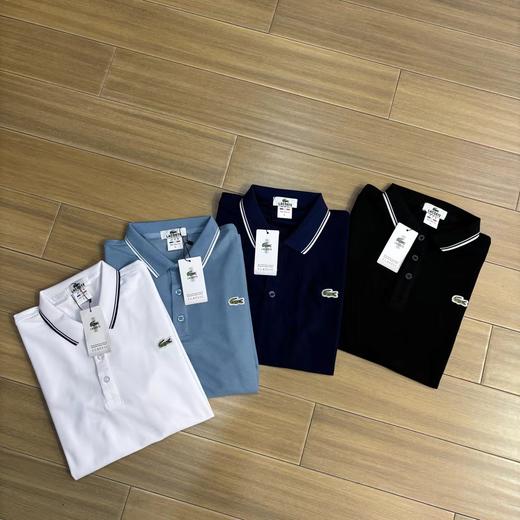 F033177夏季新款珠地网眼布棉质面料男士翻领短袖T恤polo衫 商品图0