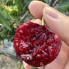 早春大樱桃 商品缩略图2