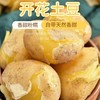 新疆果蔬·吉木萨尔开花土豆 商品缩略图0