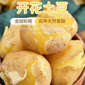 新疆果蔬·吉木萨尔开花土豆
