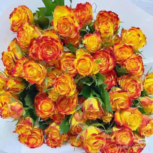 【2026.4.3】特价：5枝A级多头玫瑰19.9～29.9（现货 下单即可到店自提） 商品图5