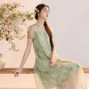【柳色含烟】三彩2026夏季新款假两件连衣裙新中式A字裙C 商品缩略图3