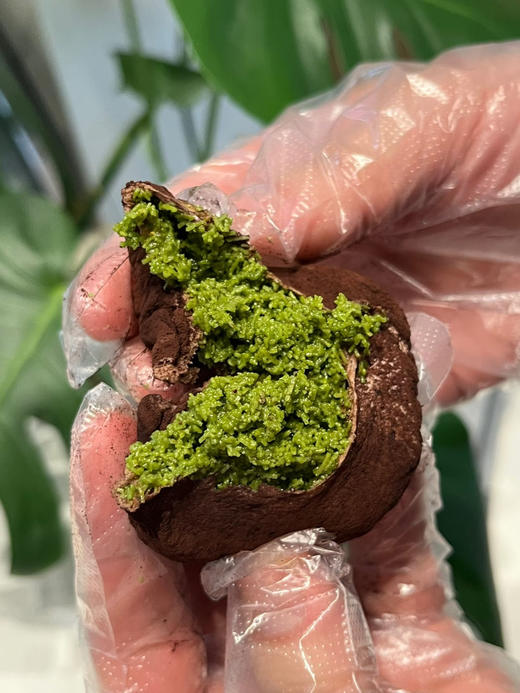 迪拜巧克力软曲奇 商品图0