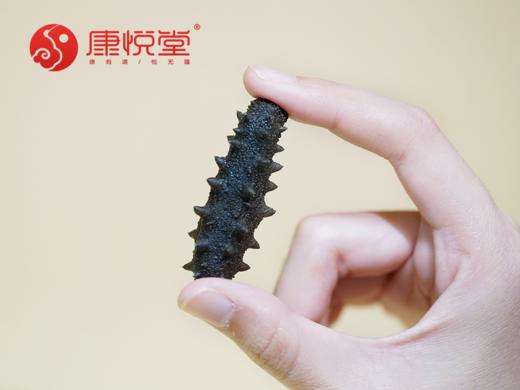 【DL盐渍参】 高泡发 好海参 商品图4
