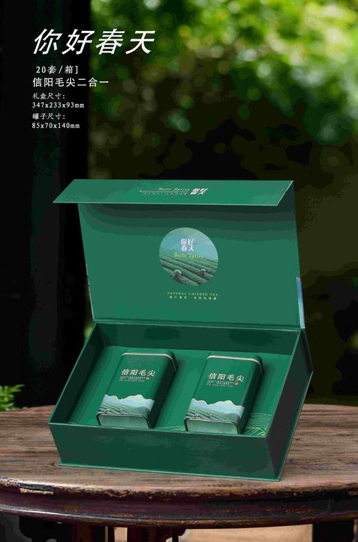 20元/套【你好春天半斤毛尖.绿】一箱20套/一箱400元/整箱包邮 商品图2