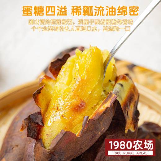 DQ可烤de榴莲蜜薯4.5斤礼盒【分仓直发，72小时发货，周末节假日不发货】 商品图1