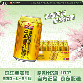 珠江啤酒（PEARL RIVER）10度 珠江金麦穗啤酒 330ml*24听 整箱装 京东自营踏春送礼 商品图4