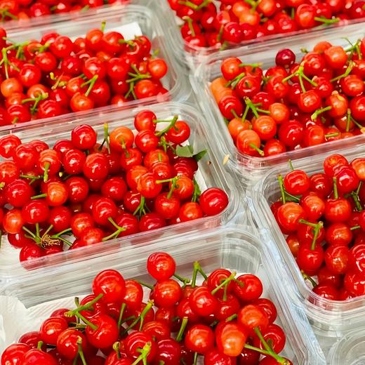 四川山野小樱桃 仅限深圳发货 商品图6