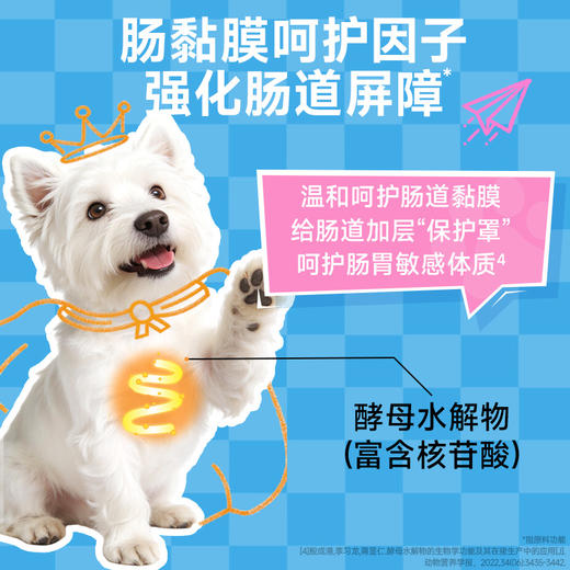 雷米高澳丽得布拉氏酵母益生菌片护肠胃促消化减少软便成幼犬猫通用 商品图4