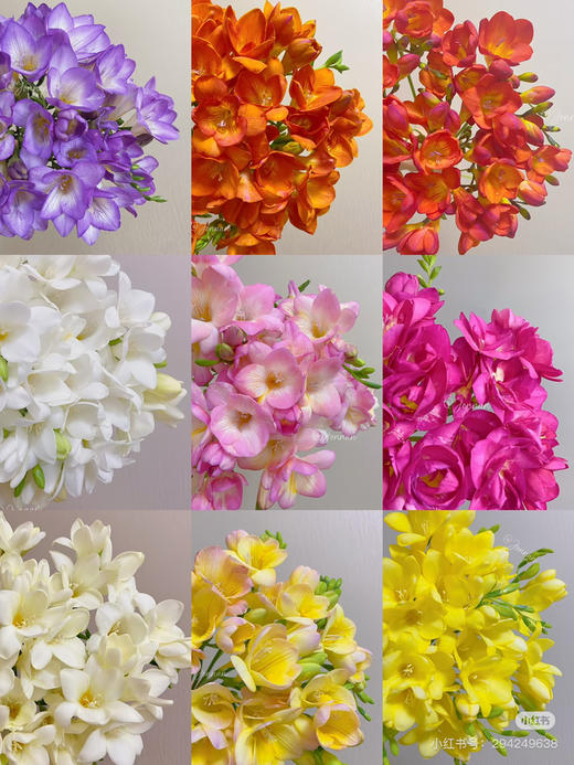 【2026.4.3】特价：1扎A级香雪兰9.9（现货 下单即可到店自提） 商品图3