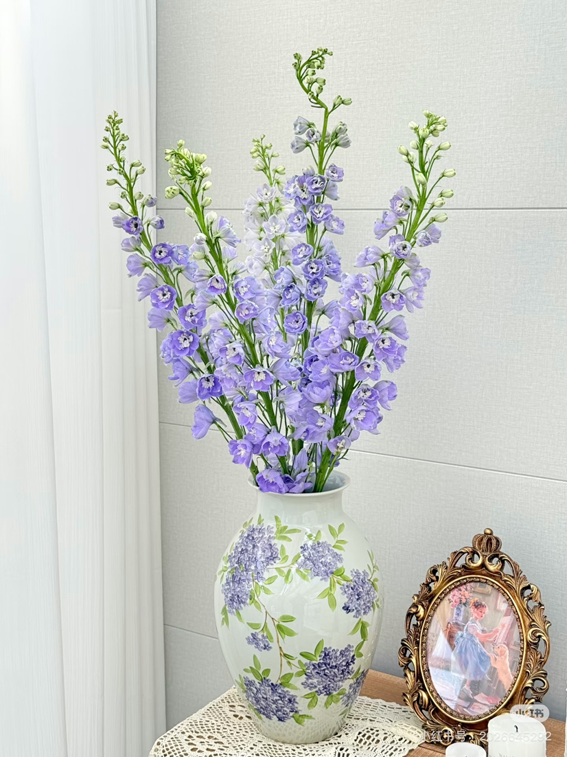 现货浅紫色大飞燕 支长65厘米 一扎5支