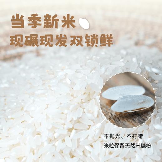 香畴石板生态大米 | 500g/2.5kg 东北火山岩稻田 香甜软弹有回甘 冷饭不回生 粳米一级 谦益农业 商品图3