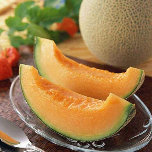 【海南.西州蜜哈密瓜】来自海南的哈密瓜，瓜皮翠绿有纹路，果香怡人，鲜嫩多汁，脆甜如蜜，营养丰富~ 商品图0