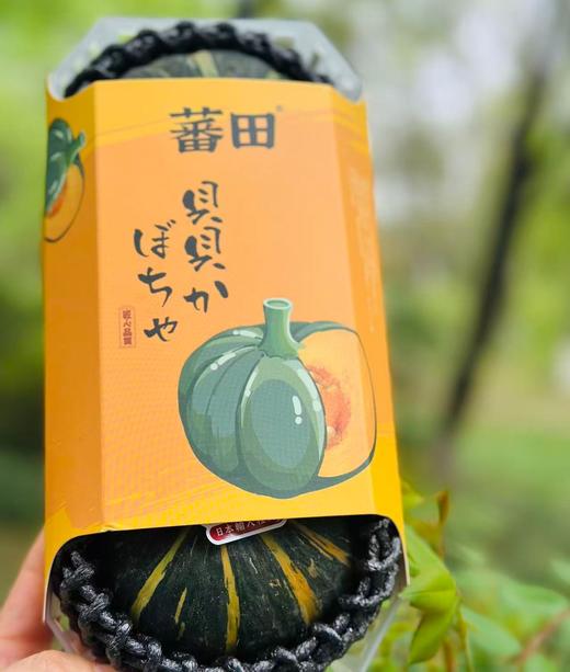 蕃田贝贝南瓜|直接蒸着吃，浓郁南瓜香，香浓板栗味，超粉超糯，吃了一口还想第二口，中饭就它了～ 商品图2