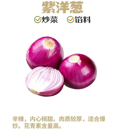 新疆三色洋葱5斤装(白洋葱+紫洋葱+黄洋葱) 商品图3