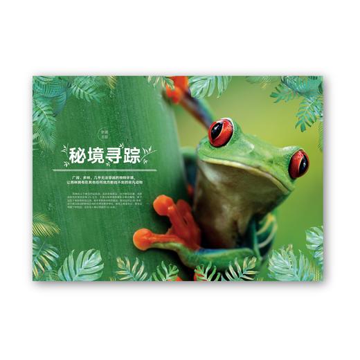 动物志·第三辑预订 商品图1