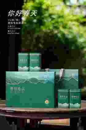 23元/套【你好春天一斤毛尖.绿】一箱16套/一箱368元/整箱包邮