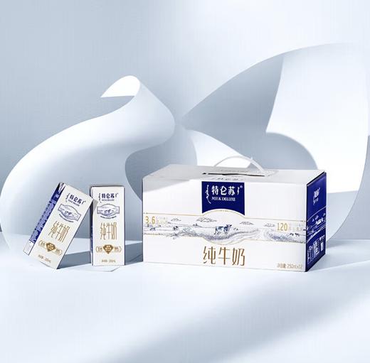 蒙牛特仑苏250ML*12 商品图0