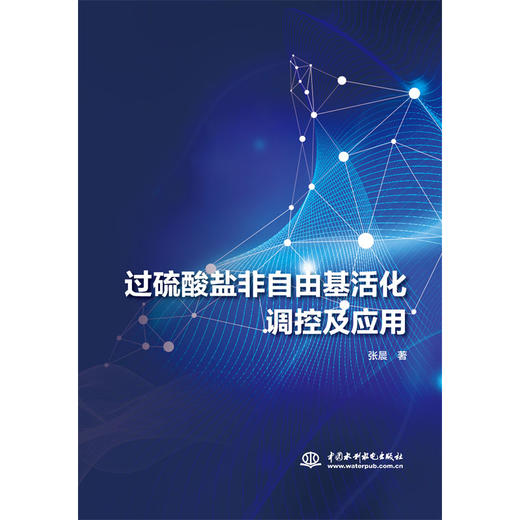 过硫酸盐非自由基活化调控及应用 商品图4