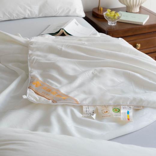 疯抢中！！【送收纳袋+衣架】【有机蚕丝被】面料舒适 丝滑光泽 轻柔无压感 四季适用 1500g 商品图8