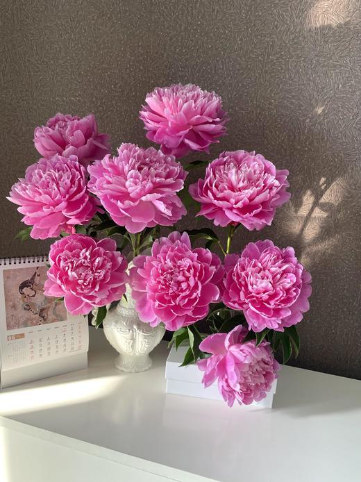 【预售！4.20起陆续发出】爱马仕【人间四月天，芍药铺庭前】简小姐精选芍药季2025年新品 爱马仕 2件包邮 顺丰直发 商品图2