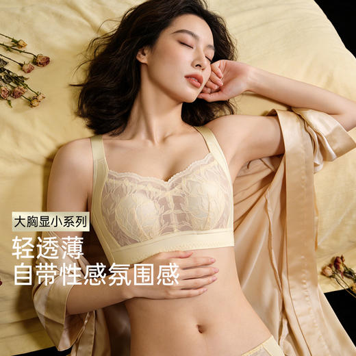 【大胸显小】润微内衣女夏季蕾丝超薄透气聚拢防下垂调整型无钢圈文胸  花融素月【大胸-蕾丝】（此款底围偏小，确认合适以后再水洗哟！） 商品图1