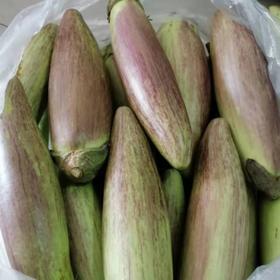 云南糯米茄子，1份1.5斤