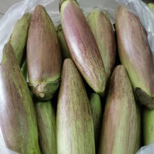 云南糯米茄子，1份1.5斤 商品图0