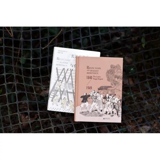 长江下游地区的地租、赋税与农民反抗斗争（1840—1949）[美]白凯/著 农村；经济史 商品图5