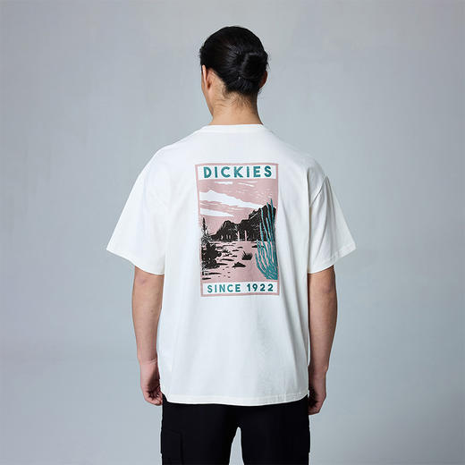 Dickies宽松版型 背后大印花短袖T恤 休闲潮流男女情侣上衣 DK0A8823 商品图7