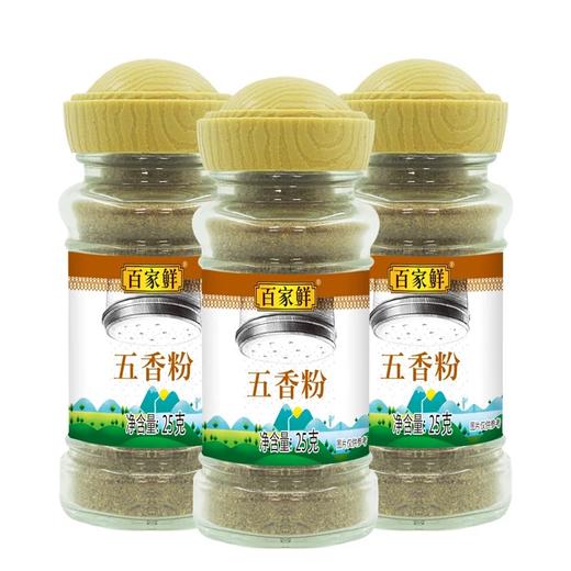 百家鲜五香粉调味料25g厨房增香烧烤炒菜调味料烹饪佐料腌制家用 商品图0
