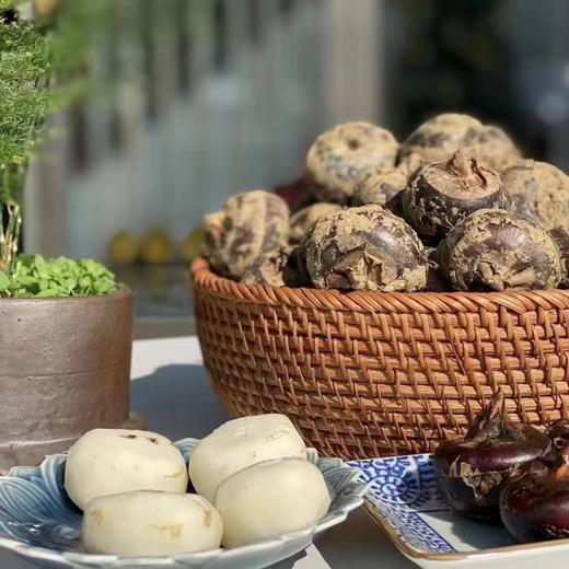 【顺丰发货】广西荔浦水果马蹄 人工采摘 口感清甜 多食不腻 自然回甘 商品图4
