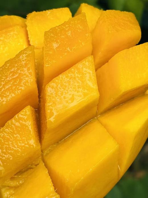 海南“山野贵妃”🥭空运到货，这款贵妃芒特别好吃, 撕开薄如蝉翼的果皮直接飙汁🥭 果核进化成细线 满口都是肉, 后调萦绕山泉蜜+淡淡奶霜香;不食贵妃芒，怎知“贵妃”美~ 商品图3